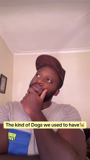 Comparing Dog Generations: Then and Now