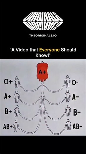 Motivation | Wealth | Education on Instagram: "The Compatibility Code: Why Your Blood Type Matters. Blood types are more than labels—they are the key to life-saving connections, dictated by the antigens and antibodies present in your blood. Knowing your type means knowing who you can help and who can help you. O- Negative is the Universal Donor (can be given to anyone in an emergency), while AB+ Positive is the Universal Recipient (can safely receive blood from anyone). This knowledge is essenti
