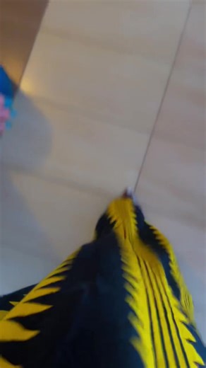 Cooking Hua in Five Hours: A Fun Asian Recipe