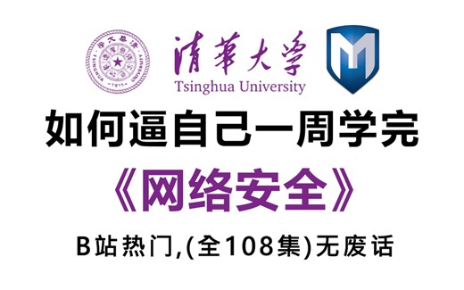 B站首推！清华大佬花一周时间讲完的网络安全教程！108集（全）从零开始学网络安全（2025新手入门实用版）网络安全2025零基础入门教程！