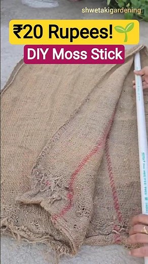 Make a DIY Moss Pole using Old Pipe & Jute Bag! 💰 #shorts #youtubeshorts #garden #diy