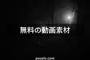 ホラーと一致する動画