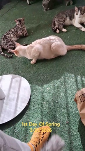 We're Outside On The 1st Day Of Spring 3/21/2026