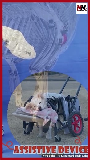 Japan's new robot dog mimcs canine biomechanics, showcases animal-like walking