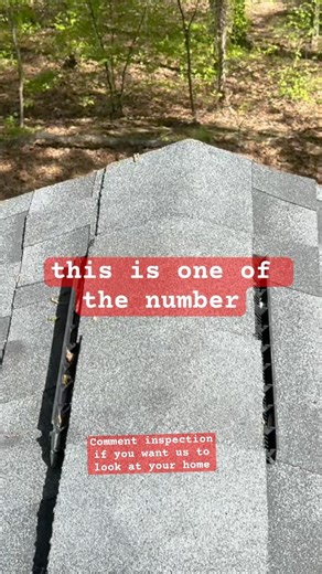 “#1 Way Squirrels Get Into Your Roof (Before & After Fix)”