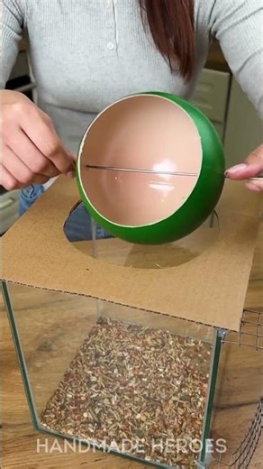 Crafty Solutions for Unwanted Guests 🐜✨