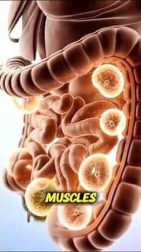 What Happens When Avocado Reacts Inside Your Body | 3D Animation”#AvocadoBenefits #HealthyEating