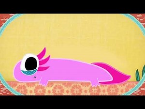 Patchwork axolotl crying (fanmade patchwork pal)