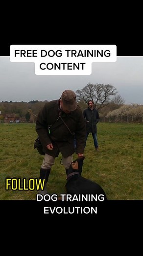 Free dog training #freedogtraining #dogtrainer #dogtrainingevolution #dogtrainersoftiktok #dogtrainingtips #dogtrainingadvice #dogtraining101