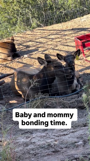 Keith Allen West on Reels