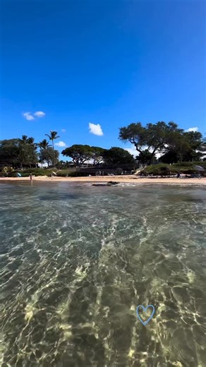Kamaole 3 Beach Serenity brought to us by @adams__adventures_ 🌊 #maui #mauimonday #mauibeach #kamaolebeach | A Maui Blog