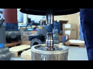 LSPM Motor Service for Flygt Pumps and Mixers