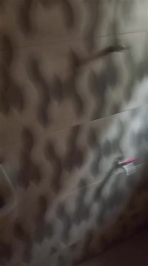 🏠 To let: ire akari Arola Street Apete via Polythenic ibadan. 👉🏻 ROOM & PARLOR SELF PROXIMITY: Polyibadan , Sango, mokola, bodija, Eleyele 🔰All round Tiles 🔰 fenced and gated ✍️ Running water 🚽 2Toilet 2bath ✅ Kitchen cabine ✅ Wadrobe Yearly payment: 400K SERVICE FEE: 30K TOTAL PACKAGE : Whatsapp ONLY :08137364346 | Alaba Oluwatobi Folorunsho