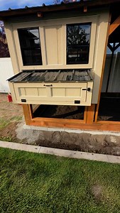 Let’s talk rollaway nest boxes—our favorite feature in every coop we build! Here’s how they work: the nest box floor is gently angled, so when a hen lays her egg, it naturally rolls forward into a covered collection area. This keeps the eggs clean, uncracked, and away from curious beaks. No more daily egg hunts or dealing with messy, broken eggs! 🙌 We also add a layer of soft grass turf for comfort and traction, and our custom design includes a fold-down viewing hatch so you can see which hens 