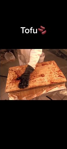 jacksonvillejustin on TikTok