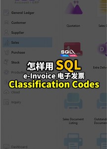 如何设置45种e-invoice类别号与SQL相关