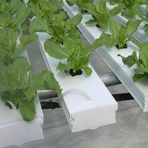 Hydroponics Pvc square Nft System Pipe Making Plant Hydroponic System Nft Gully Tubes