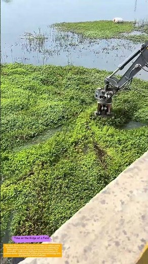 Clearing the Waterways: How Machinery is Revolutionizing Aquatic Plant Management