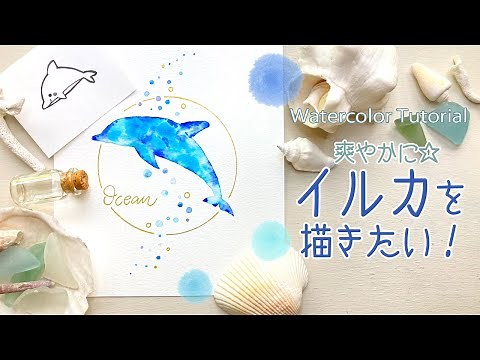 イルカの描き方🐬【かわいいペン画と水彩イラスト】How to draw dolphins🌊