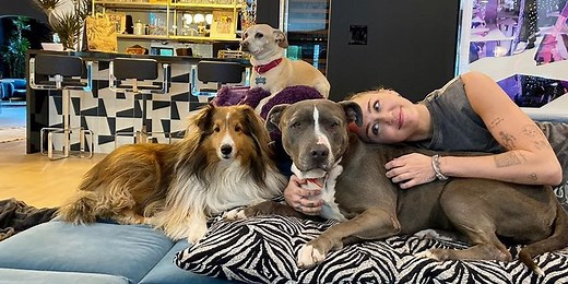 Miley Cyrus Has Been a Pet Mom For Years — Here's What We Know About Her Pups
