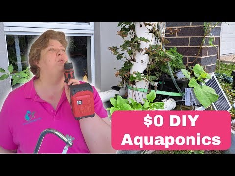 How to Build a DIY Home Aquaponics System for Free