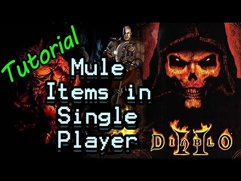 Tutorial: Transfer Items in Single Player D2