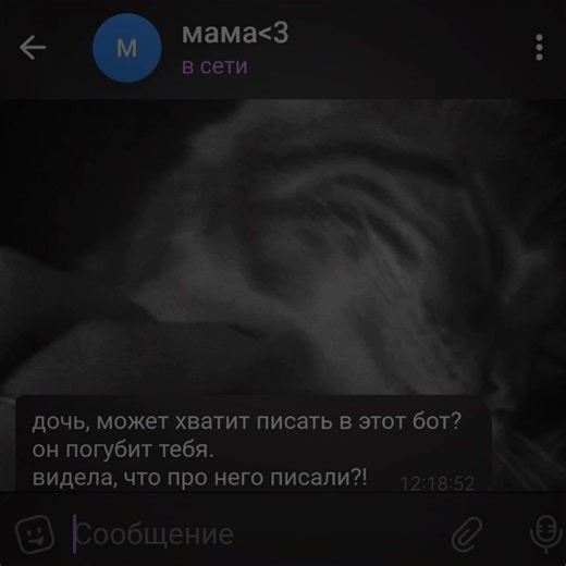 Чудесный бот поддержки и общения @Cat_temple_bot