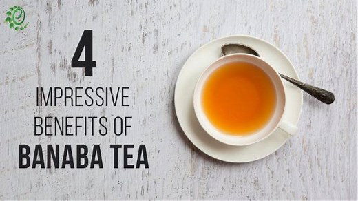 Banaba tea is an herbal preparation made by brewing the leaves and flowers of the banaba plant. | Organic Facts