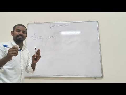 Counter Current Mechanism Explained | Kidney Physiology or How Kidney Concentrates Urine?