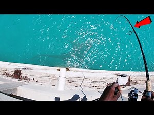 Key West Mutton Snapper Fishing