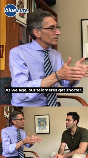 CAN CHRONIC STRESS SPEED CELLULAR AGING? (Lorenzo Cohen, PhD)