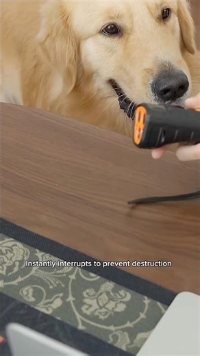 Great device to stop your dogs barking #doglove #dogsupplies #dogtraining #dog #dogsofyoutube