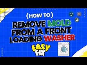 Removing Mold from Your Washing Machine Seal