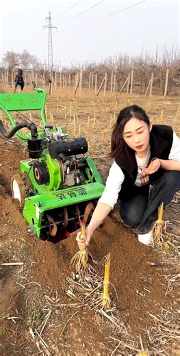 Powerful 4WD Mini Tiller in Action – Fast Farming Machine 🚜 #MiniTiller #RotaryTiller #FarmTools
