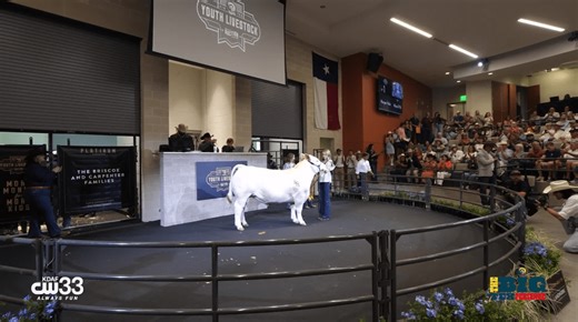The Big Texperience: Livestock Auction