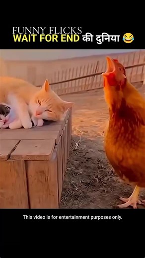 Mastering Object Balance: A Fun Challenge