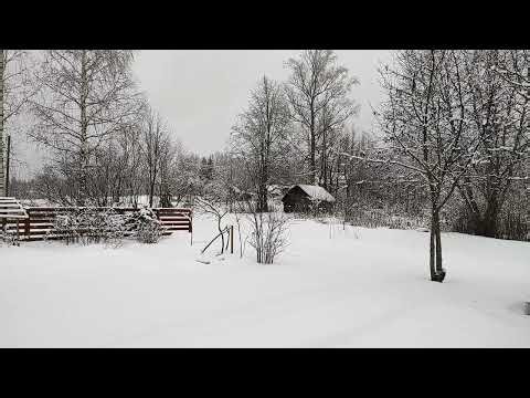 Heavy Snowfall Creates Stunning Winter Scenery
