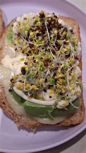 Delicious Vegetarian Sandwich with Avocado and Swiss Cheese