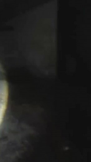 Videos de Creepypastas (@.creepypastas.exe) con “sonido original - Creepypastas”