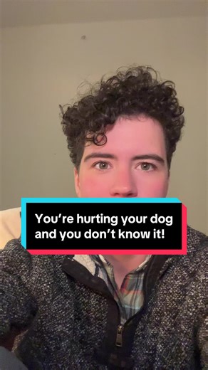 Common Dog Training Mistakes to Avoid