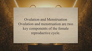Ovulation and Menstruation