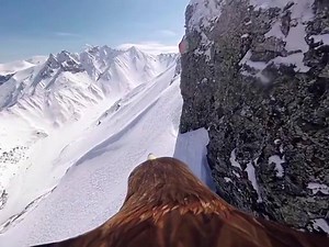 23 reactions | A different kind of wingsuit view from GoPro perspective by Justin Labattu 礪 #wednesday #motivation #adriatichero #goprohero7 #eaglefly | Adriatic HERO | Facebook
