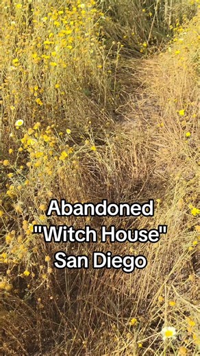 Witch House? 🧙‍♀️ #abandoned #abandonedplaces #abandonedhouse #bando #witch #witchtok #witchtiktok #witchy #witchyvibes #haunted #creepy #graffiti #graffitiforyou #art #graffitiart #painting #paint #paintings #ufo #flowers #sandiego #california #middleofnowhere #lost #scary #artwork #arttok