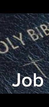 Job 40 (NIV) The Audio Bible