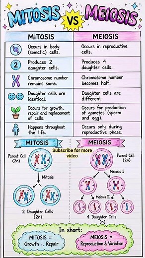 🧬 Mitosis vs Meiosis | Class 9 Science | Easy Chart & Diagram | One Minute Revision 📚