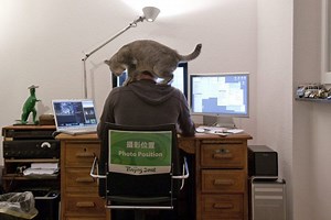 Travailler à domicile: avantages et écueils