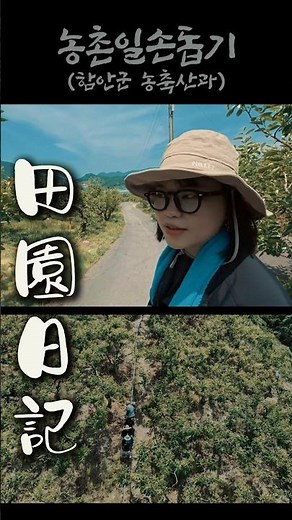 진짜가 나타났다! 농업전문가들의 농촌일손돕기(농축산과26.5.19.) 예고편 #함안 #함안군 #농촌봉사활동 #농촌일손돕기 #농축산과