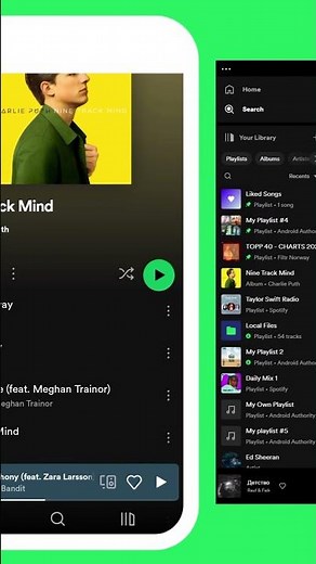 How to download music from Spotify