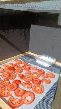 Zongedroogde tomaten
