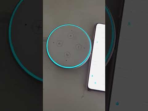 Alexa isn't working! - Fixed